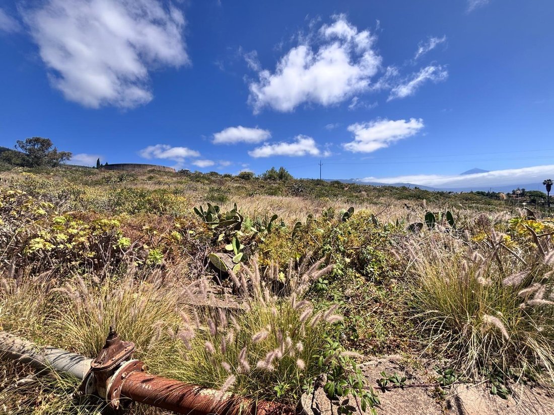 Terreno en Tacoronte, Canarias, España 5 - 18302564