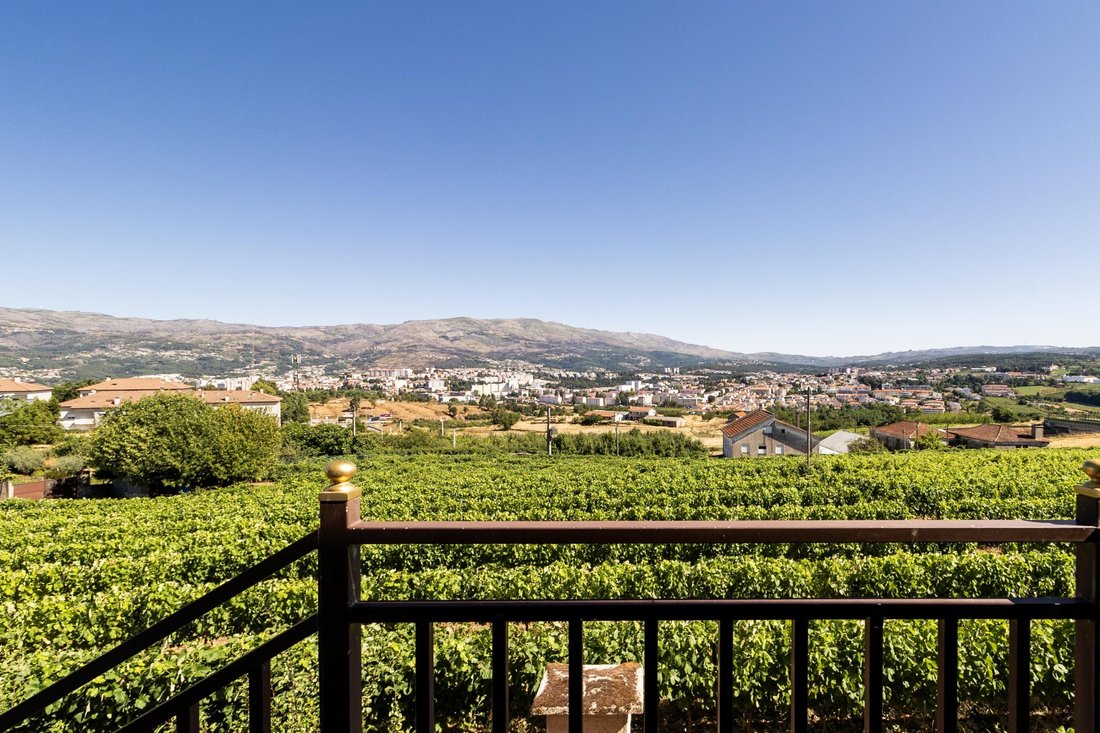 Finca in Folhadela, Vila Real, Portugal 5 - 18536297