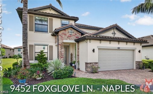 House in Naples, Florida, United States 1