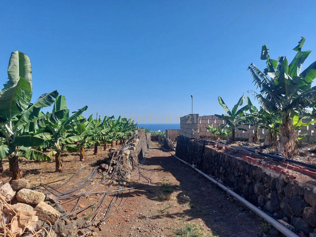 Terrain à San Cristóbal de La Laguna, Îles Canaries, Espagne 1 - 18302554