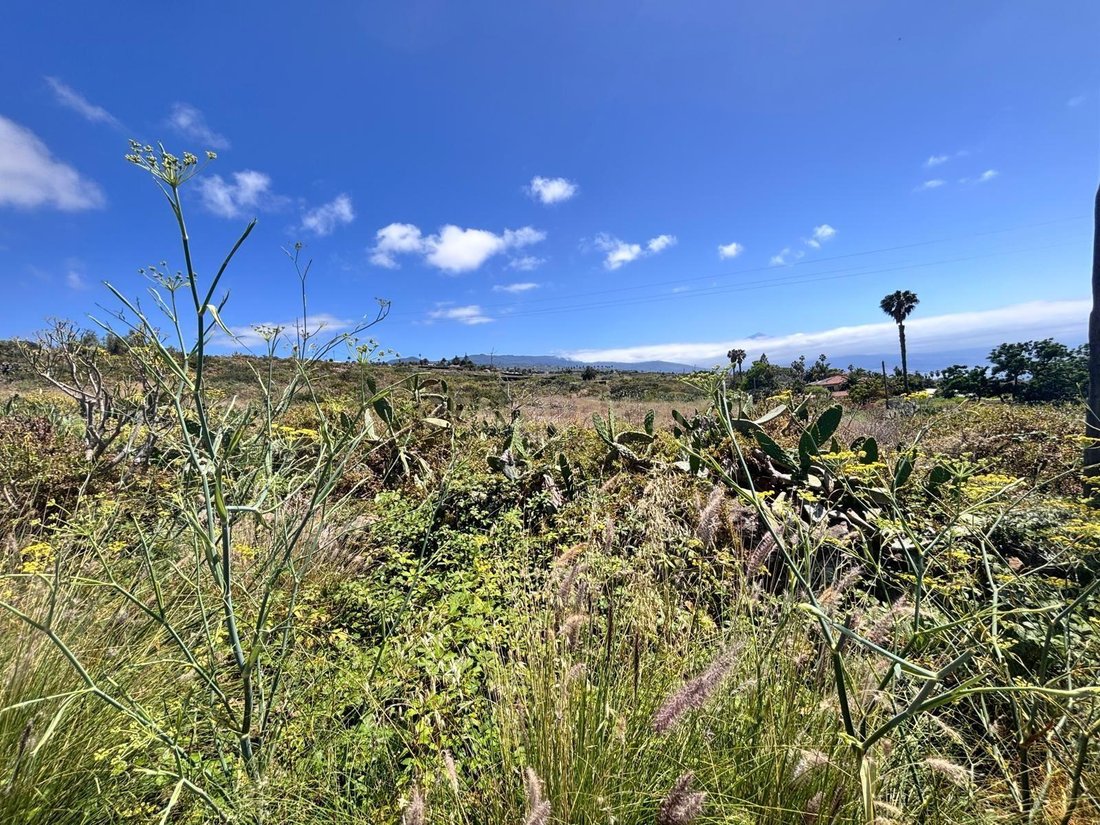 Terreno en Tacoronte, Canarias, España 4 - 18302564