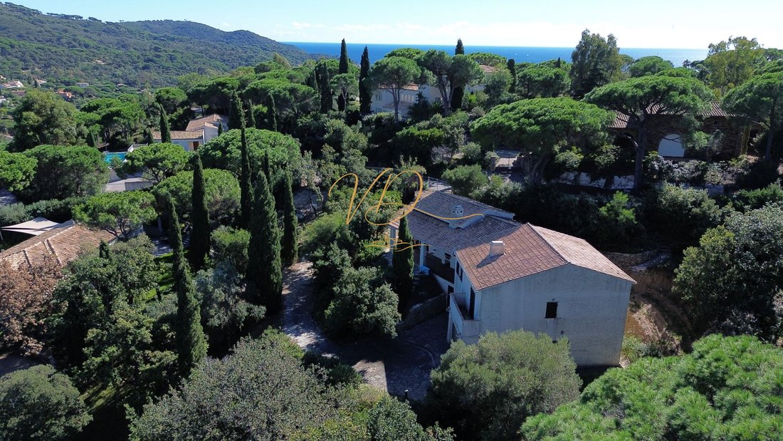 Castle in La Croix-Valmer, Provence-Alpes-Côte d'Azur, France 2 - 18536013