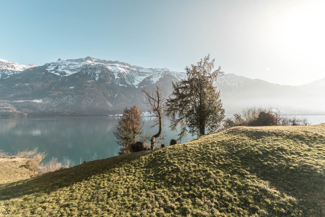 Chalet in Ringgenberg, Canton of Bern, Switzerland 3 - 18534115
