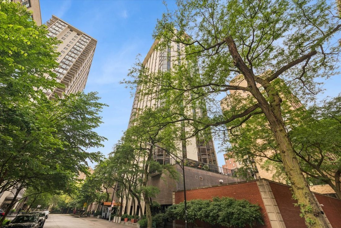 Condo in Chicago, Illinois, United States 1 - 18535024