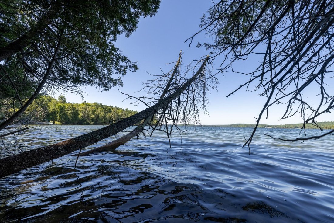 Land in Crystal Falls, Michigan, United States 5 - 18533672