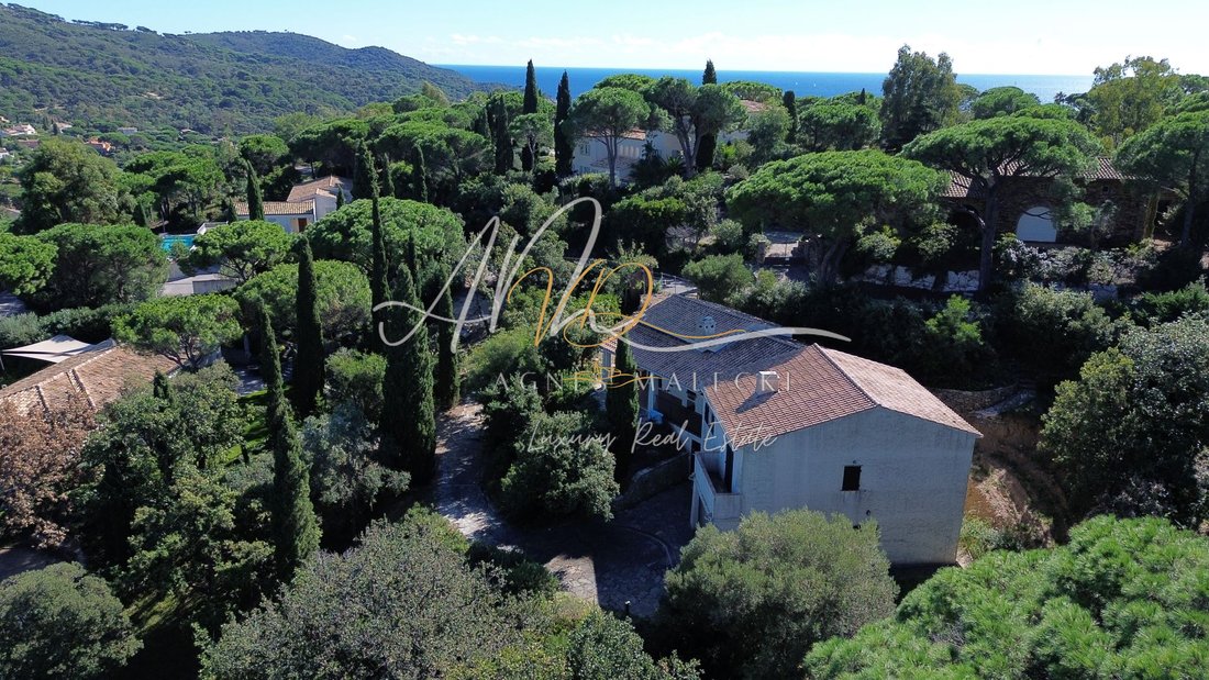 Castle in La Croix-Valmer, Provence-Alpes-Côte d'Azur, France 2 - 18535982