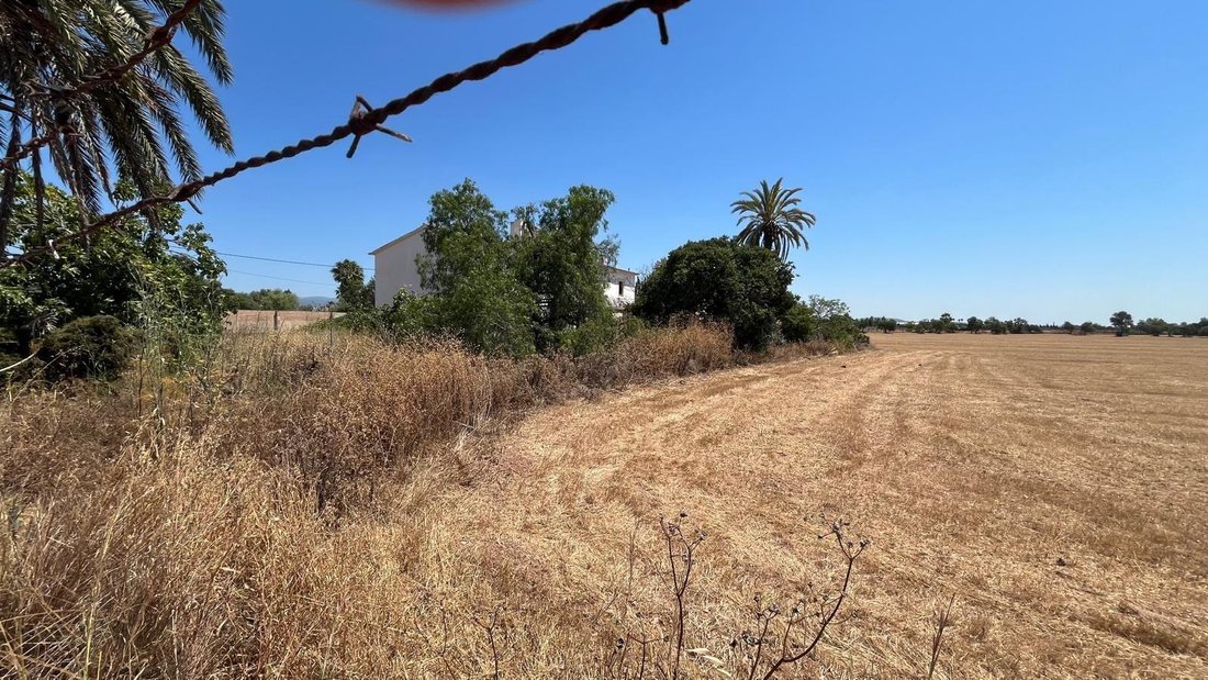 Country House in Palma, Balearic Islands, Spain 4 - 18536131