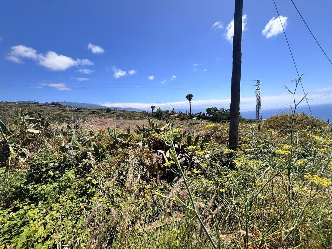 Terreno en Tacoronte, Canarias, España 2 - 18302564