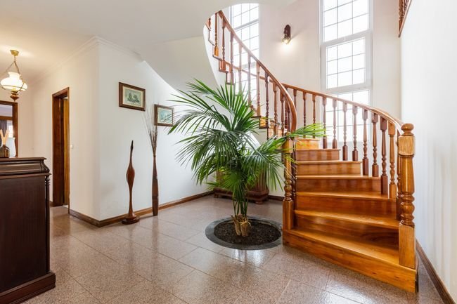 House in Arrifes, Azores, Portugal 5 - 18532866