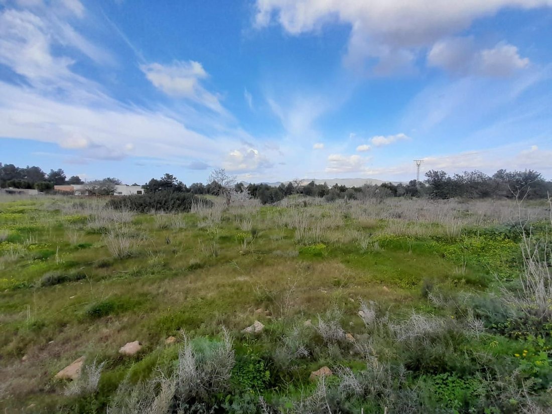 Land in Balearic Islands, Spain 5 - 18532852