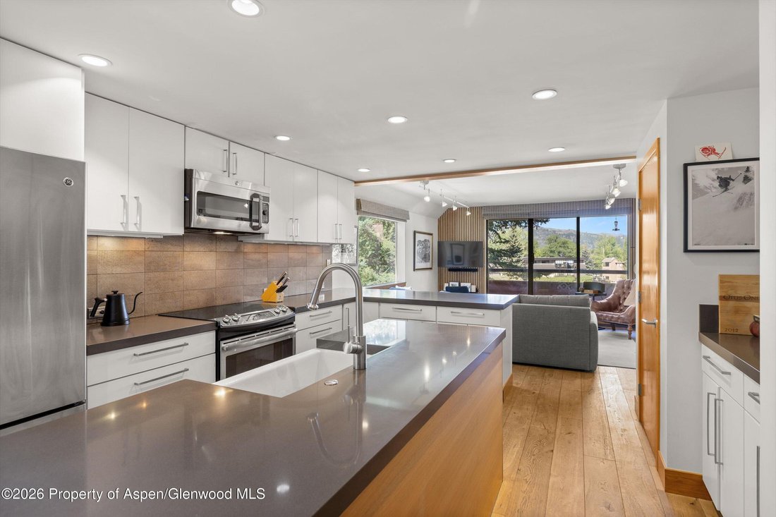 Condo in Aspen, Colorado, United States 1 - 18533747