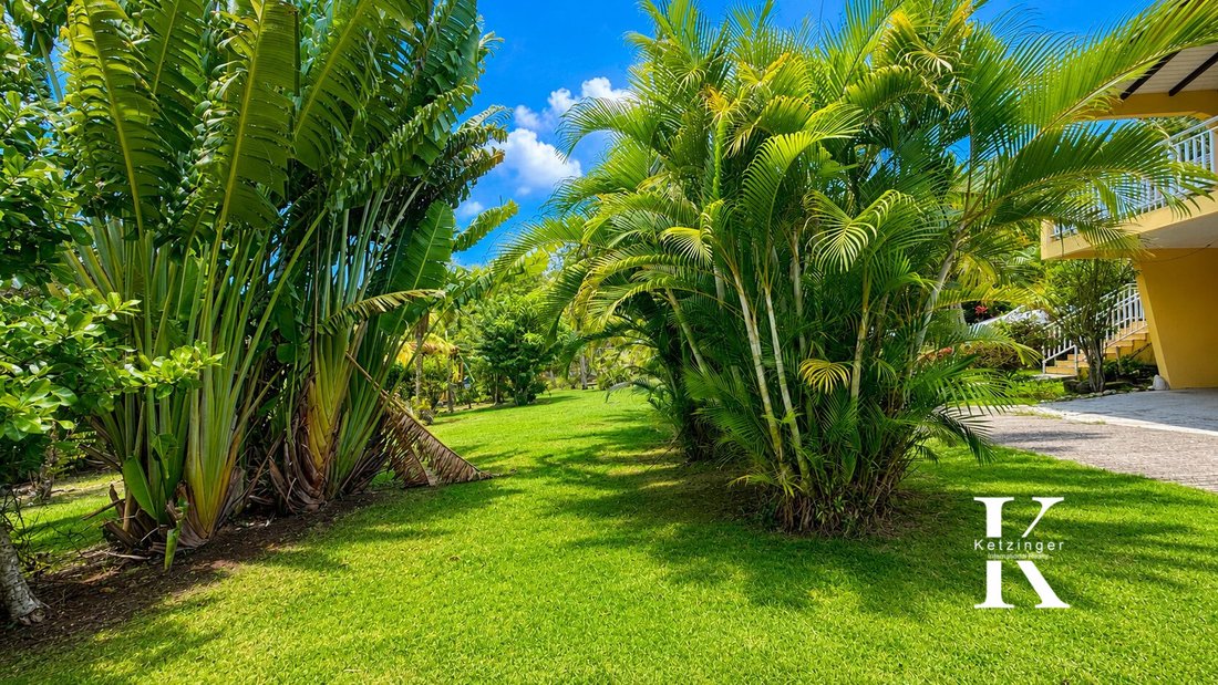 Villa in Deshaies, Basse-Terre, Guadeloupe 4 - 18537318
