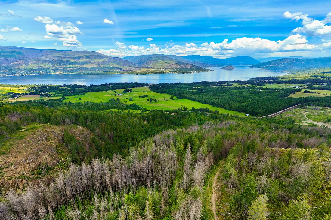 Land in Sorrento, British Columbia, Canada 4 - 18537438