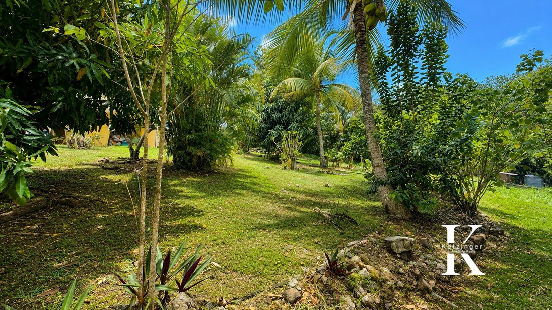 Villa in Deshaies, Basse-Terre, Guadeloupe 5 - 18537318