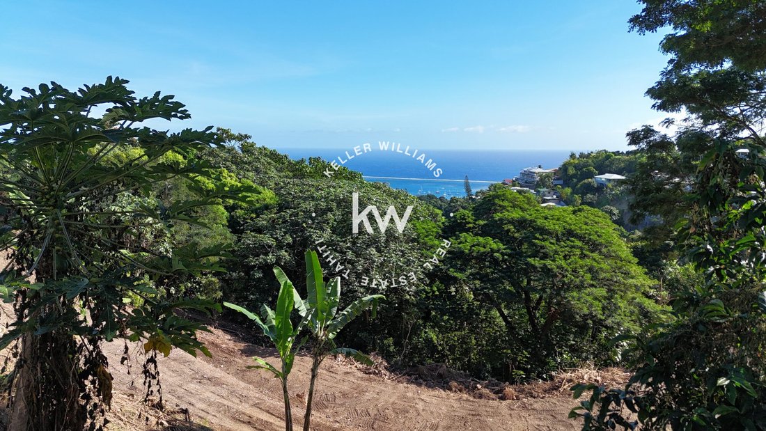 Land in Arue, Windward Islands, French Polynesia 1 - 18537219