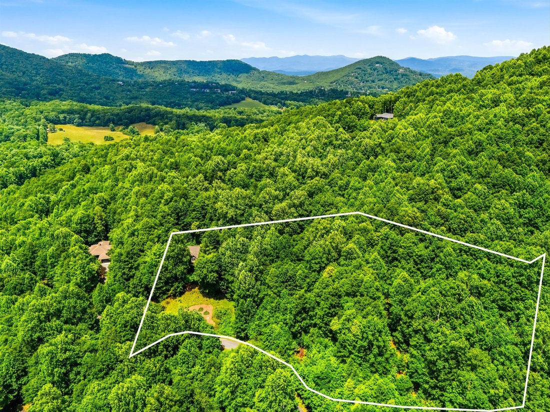 House in Mills River, North Carolina, United States 4 - 18293119
