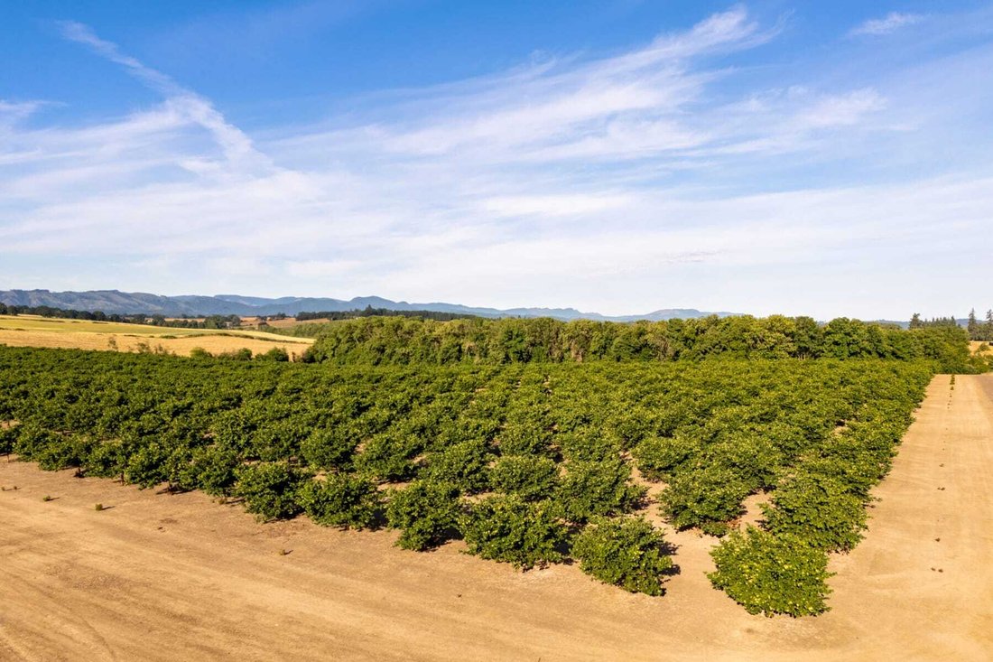 Land in Sheridan, Oregon, United States 2 - 18537088