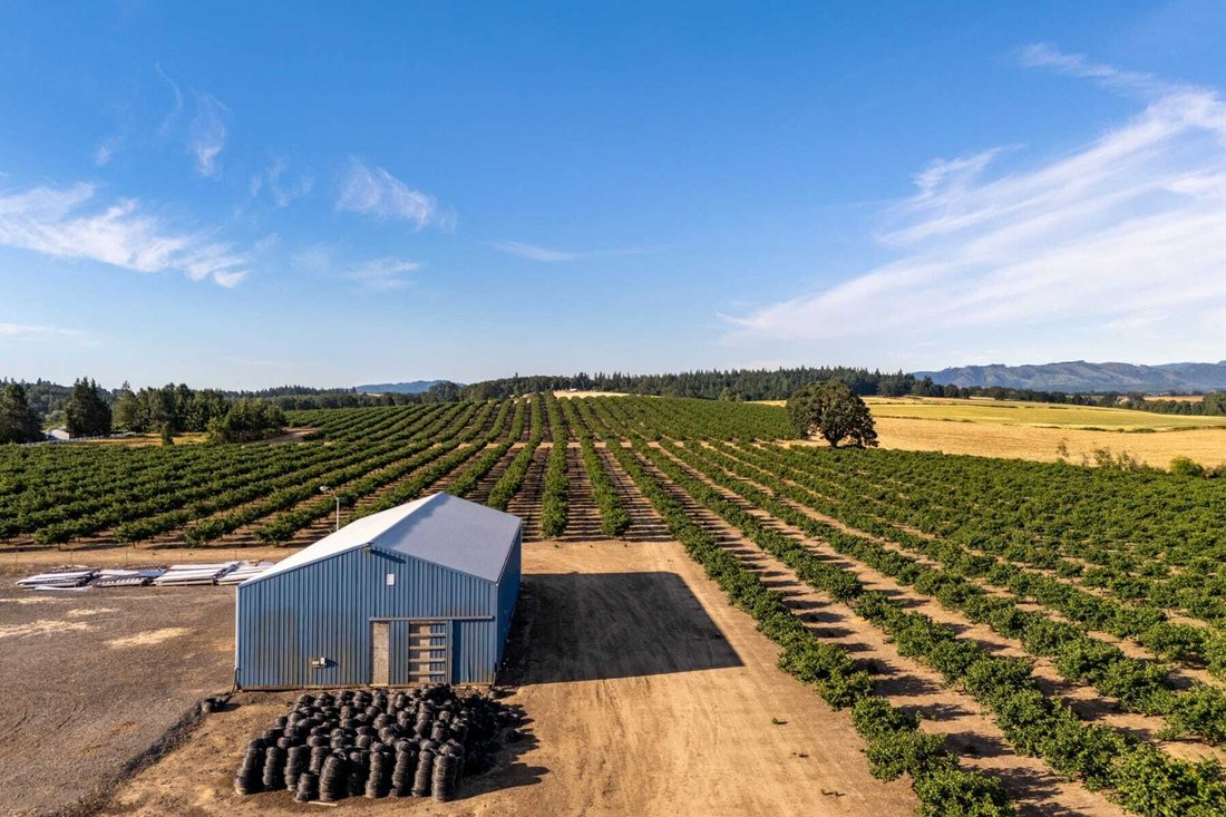 Land in Sheridan, Oregon, United States 3 - 18537088