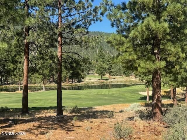 Land in Genoa, Nevada, United States 2 - 18536969
