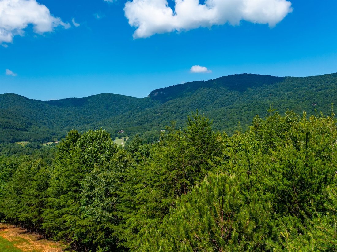 House in Mill Spring, North Carolina, United States 4 - 15916485
