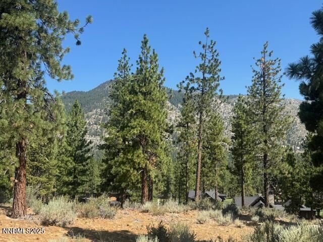 Land in Genoa, Nevada, United States 5 - 18536969