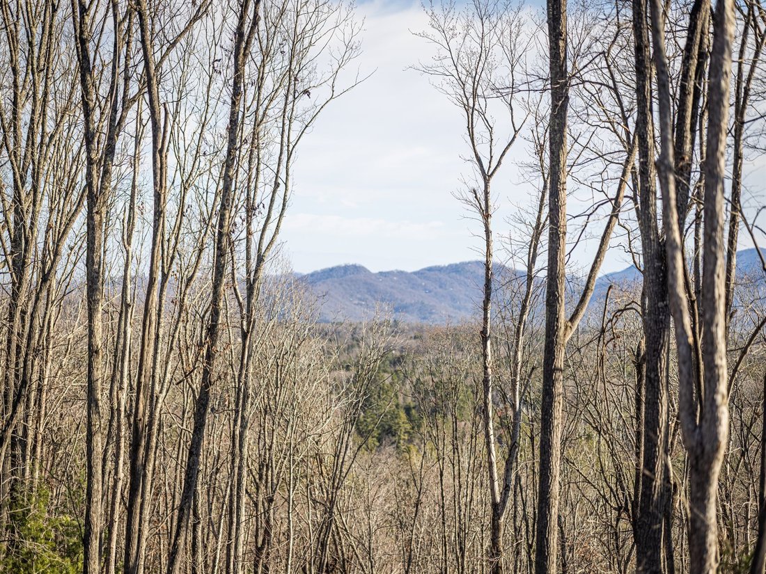 Land in Asheville, North Carolina, United States 3 - 18256602