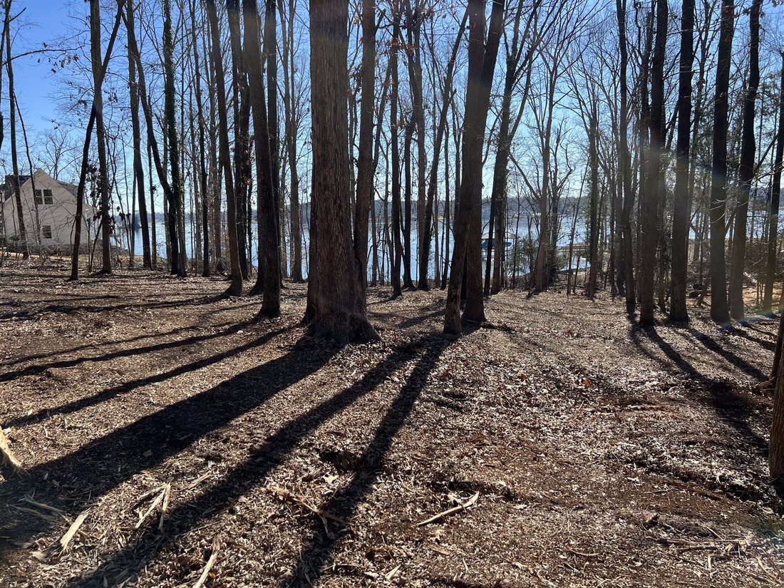 Land in York, South Carolina, United States 5 - 17553906