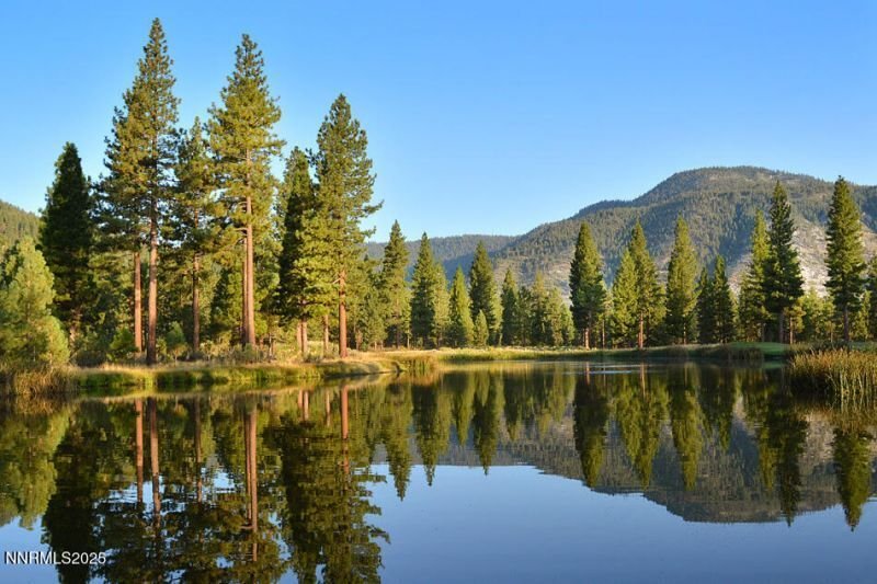 Land in Genoa, Nevada, United States 1 - 18536969