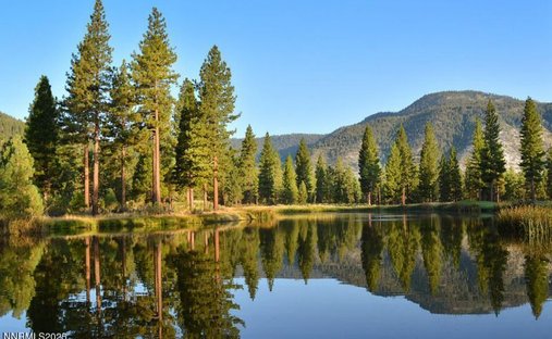 Land in Genoa, Nevada, United States 1
