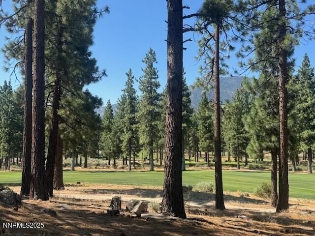 Land in Genoa, Nevada, United States 3 - 18536969
