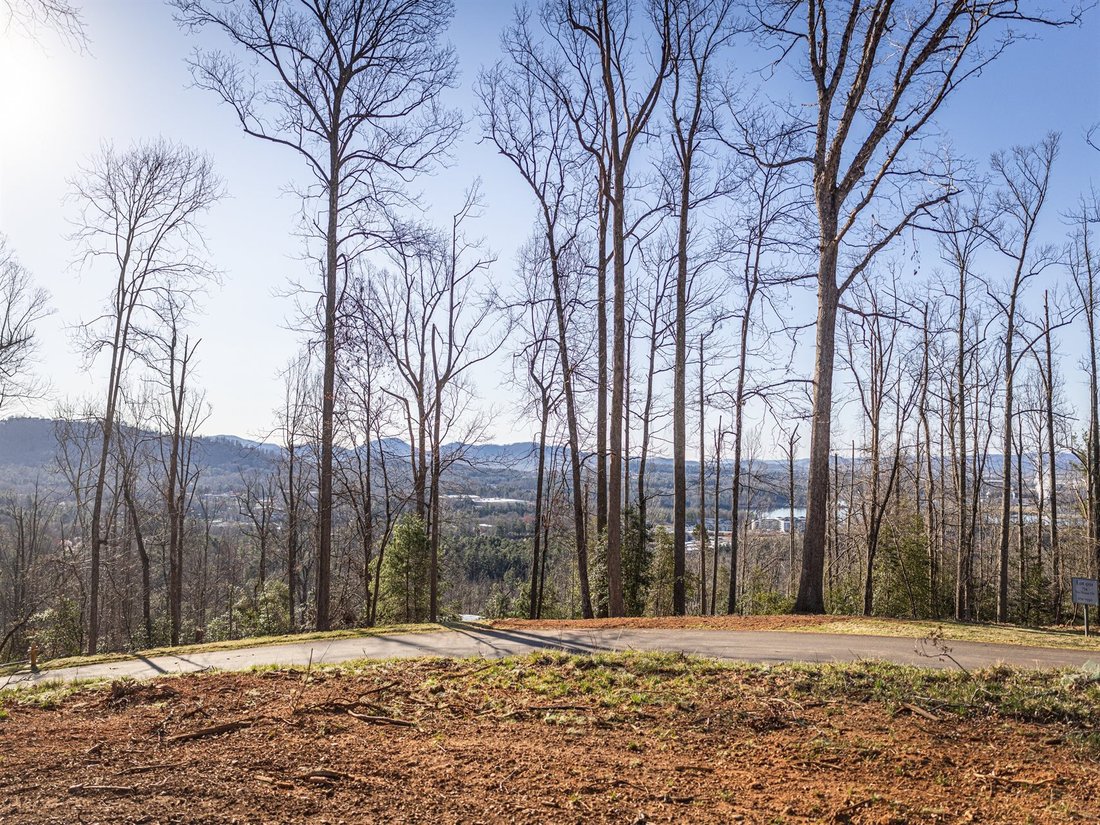 Land in Asheville, North Carolina, United States 3 - 18256597