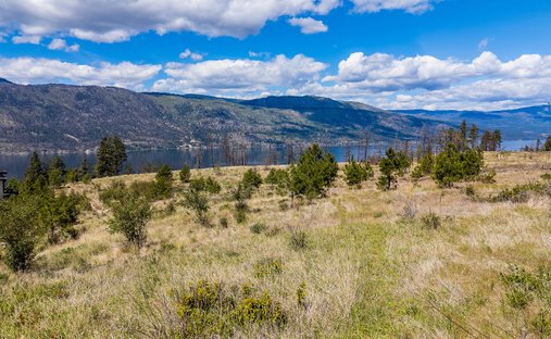 Terreno a Lake Country, Columbia Britannica, Canada 1