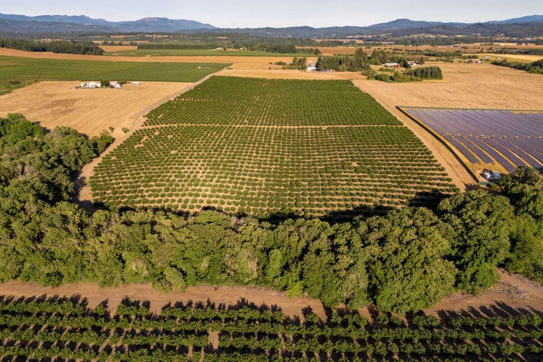 Land in Sheridan, Oregon, United States 5 - 18537088