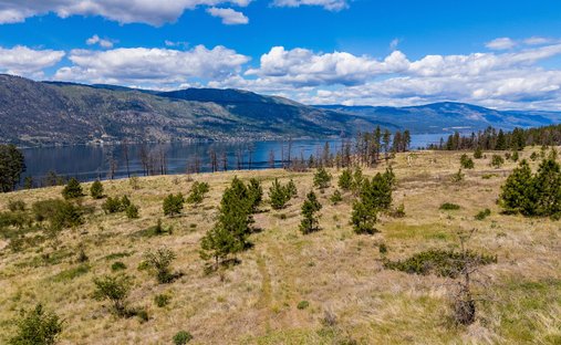 Terreno a Lake Country, Columbia Britannica, Canada 1