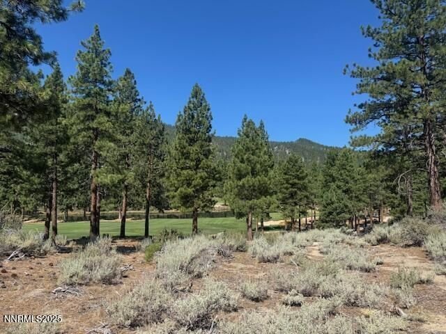 Land in Genoa, Nevada, United States 4 - 18536969