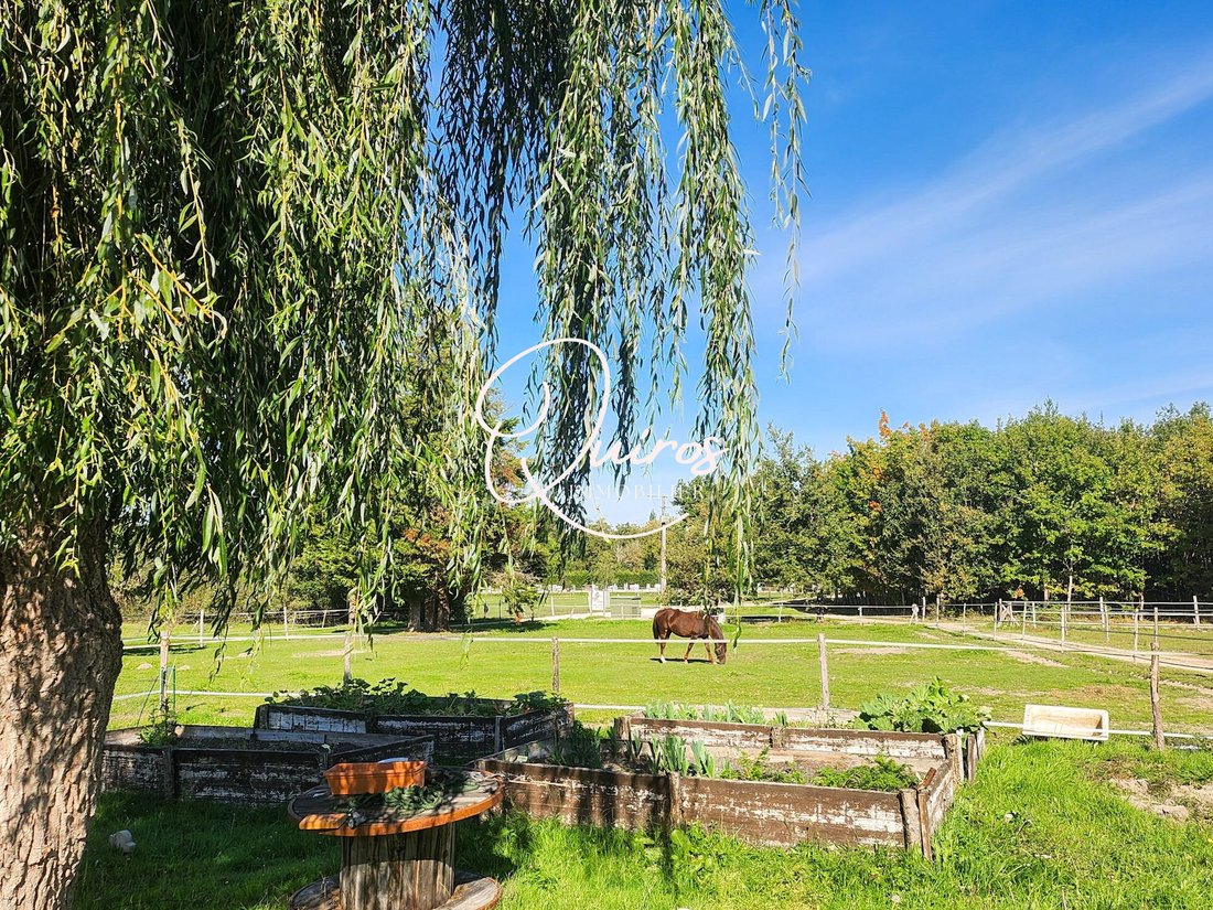 House in Ligny-le-Ribault, Centre-Val de Loire, France 5 - 18496276