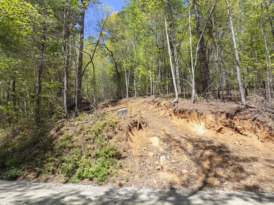 Land in Zirconia, North Carolina, United States 2 - 17868479