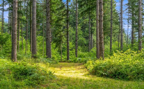 Land in Camas, Washington, Vereinigte Staaten 1