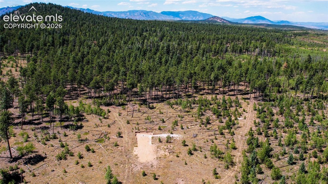 Land in Lake George, Colorado, United States 3 - 18403796