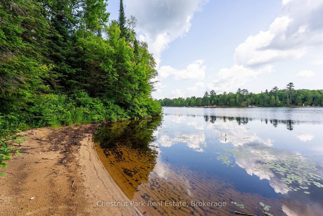 House in Algonquin Highlands, Ontario, Canada 5 - 18538566