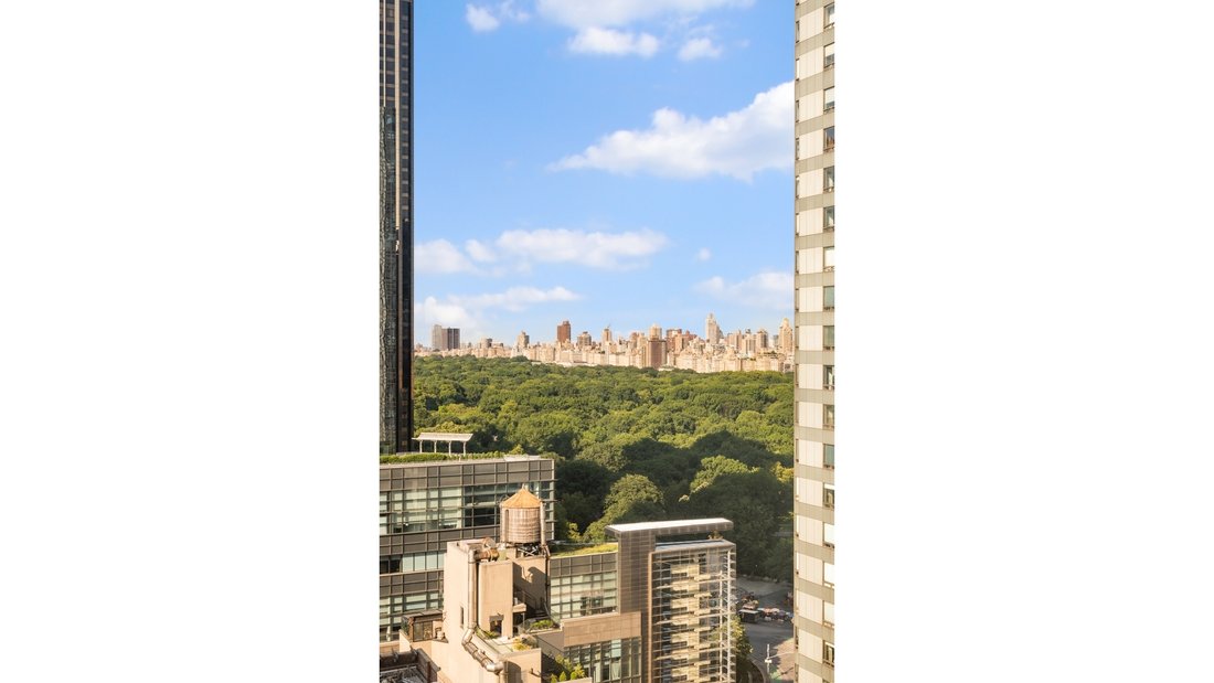 Condo in New York, New York, United States 3 - 18536085