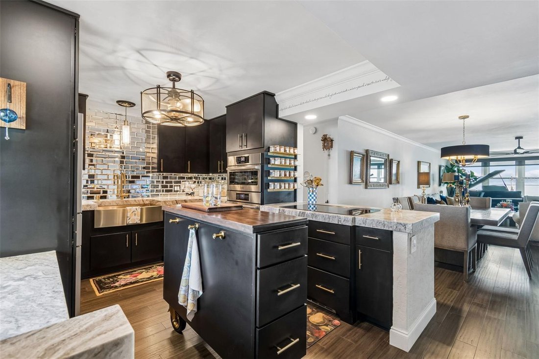 Condo in St. Petersburg, Florida, United States 3 - 18536041