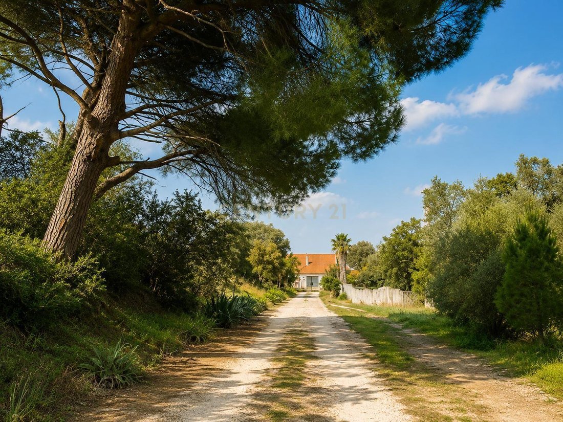 Farm Ranch in Azambuja, Lisbon, Portugal 3 - 18538426