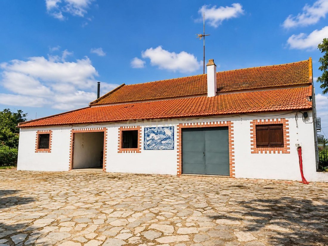 Farm Ranch in Azambuja, Lisbon, Portugal 5 - 18538426