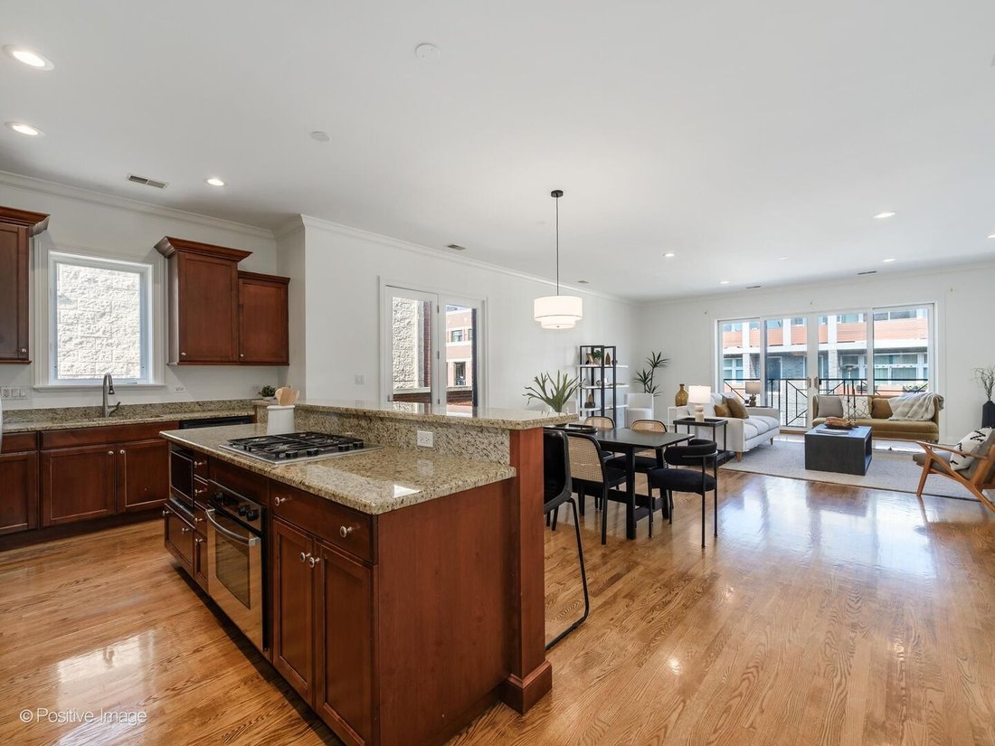 Condo in Chicago, Illinois, United States 3 - 18538578