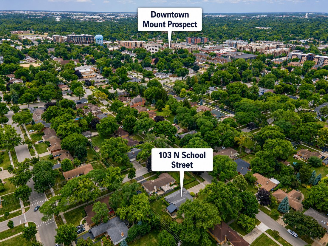 House in Mount Prospect, Illinois, United States 3 - 18538546