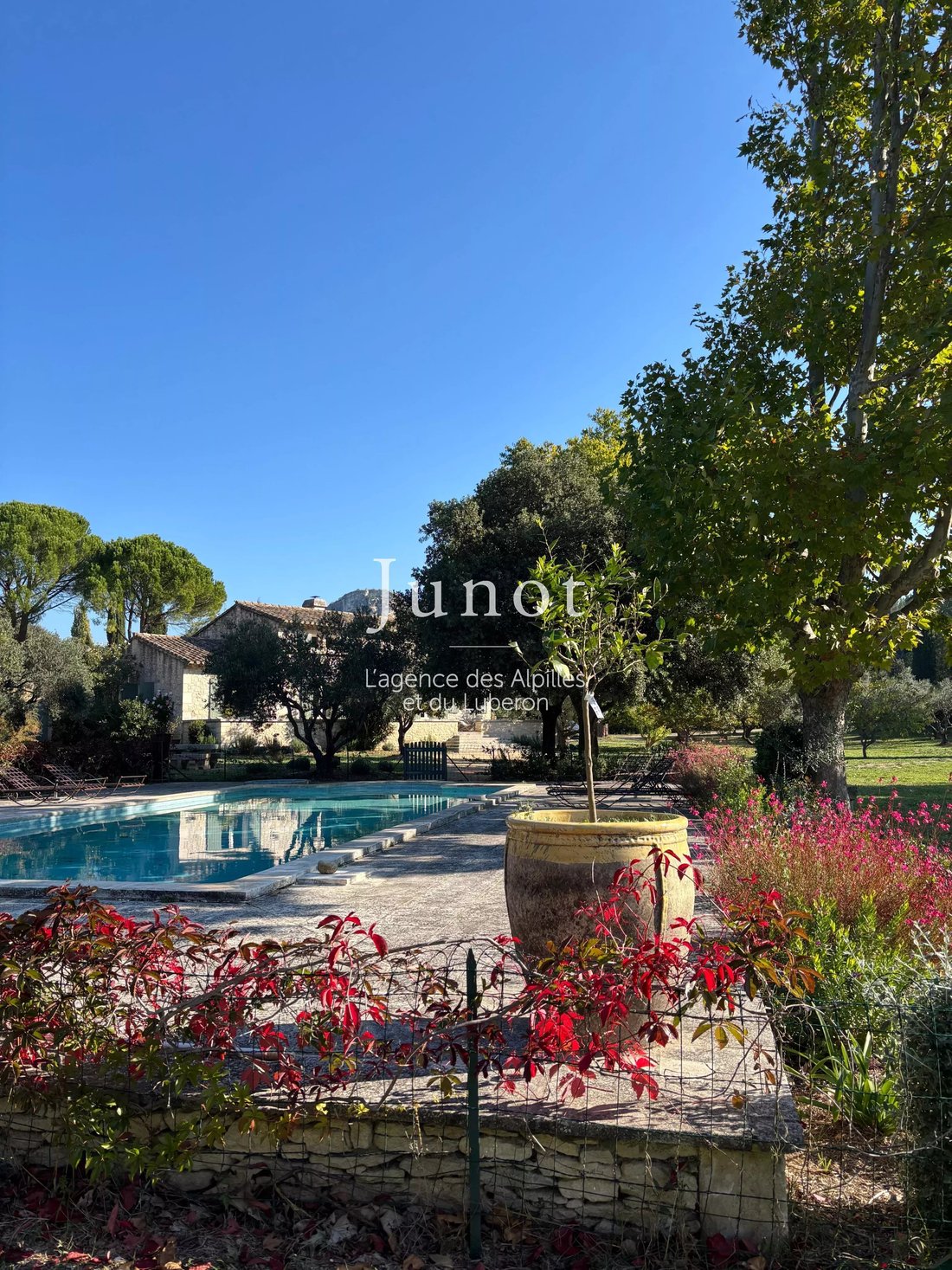 Country House in Les Baux-de-Provence, Provence-Alpes-Côte d'Azur, France 5 - 18538648