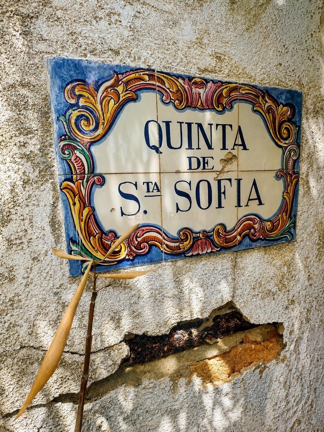 Farm Ranch in Azambuja, Lisbon, Portugal 2 - 18538426