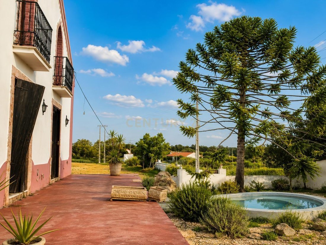 Farm Ranch in Azambuja, Lisbon, Portugal 1 - 18538426