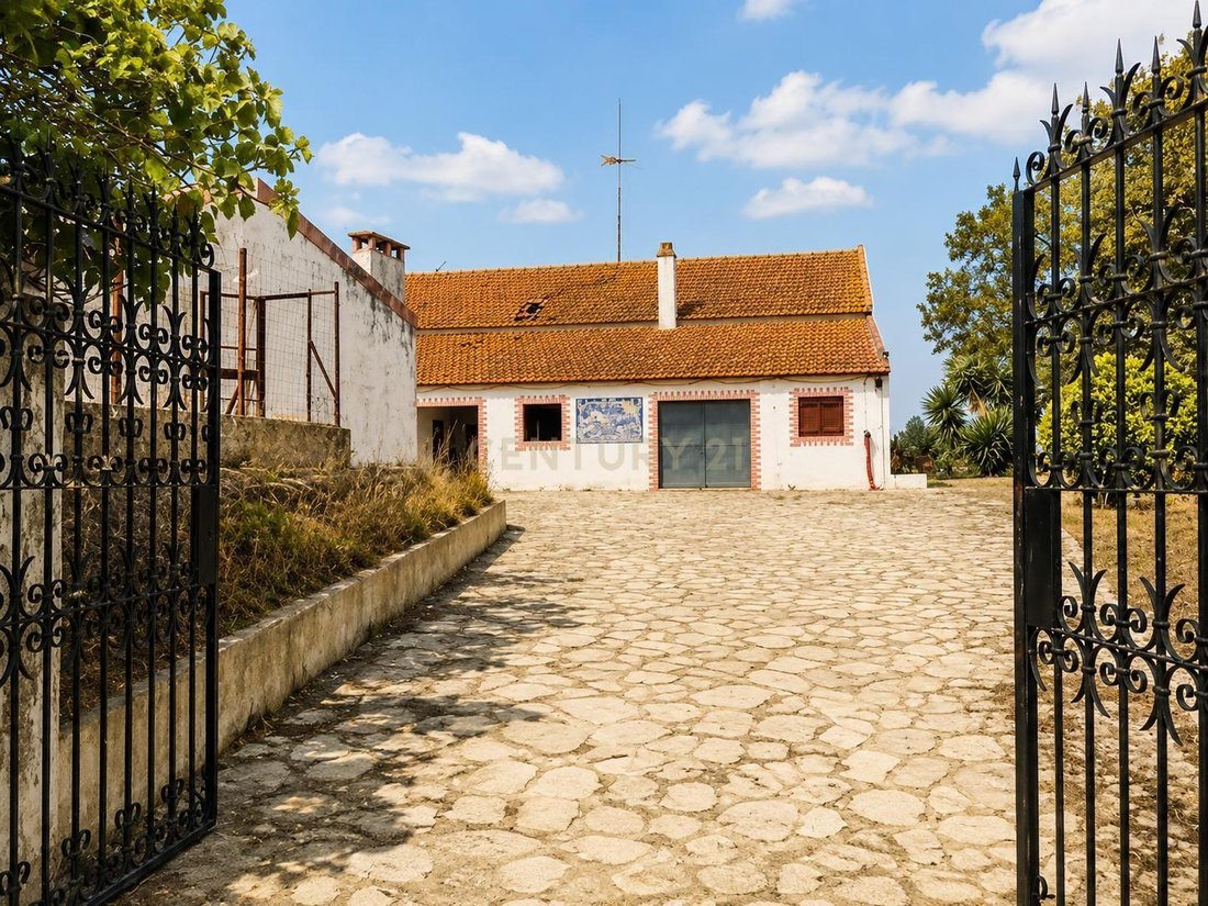 Farm Ranch in Azambuja, Lisbon, Portugal 4 - 18538426